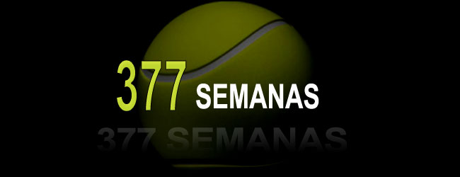 377 SEMANAS