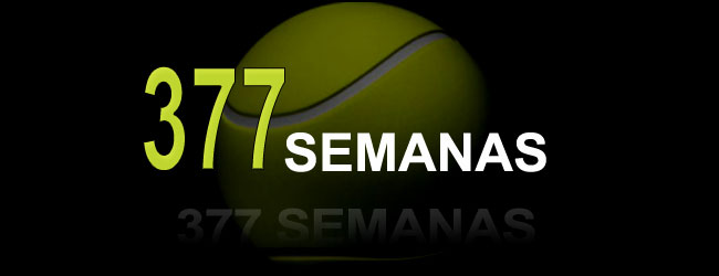 377 SEMANAS