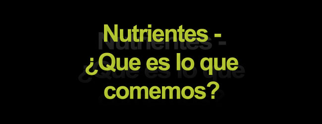 Nutrientes - ¿Que es lo que comemos?