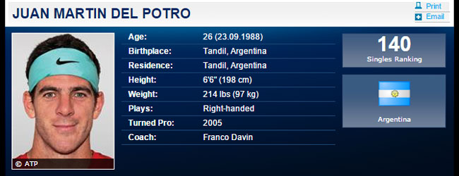 Del Potro sale del TOP 100