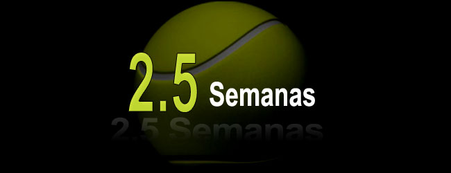 2.5 Semanas