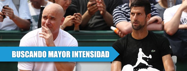 La intensidad del nuevo cocodrilo serbio