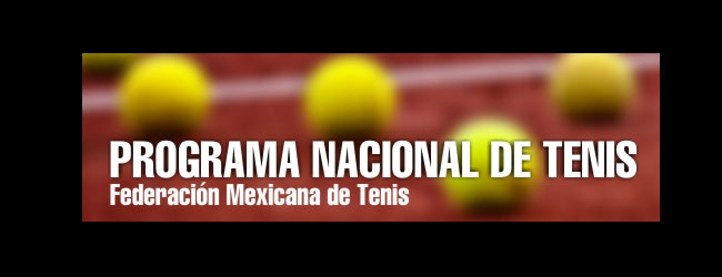 La FMT lanza un nuevo portal