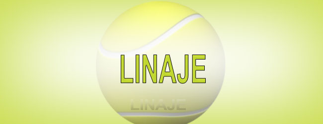 LINAJE