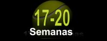 17-20 Semanas