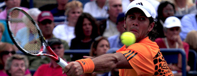 Verdasco entrena con campeones para ser campeón