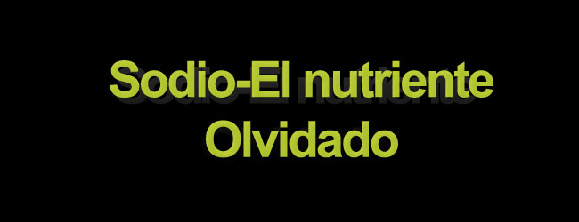 Sodio-el nutriente olvidado